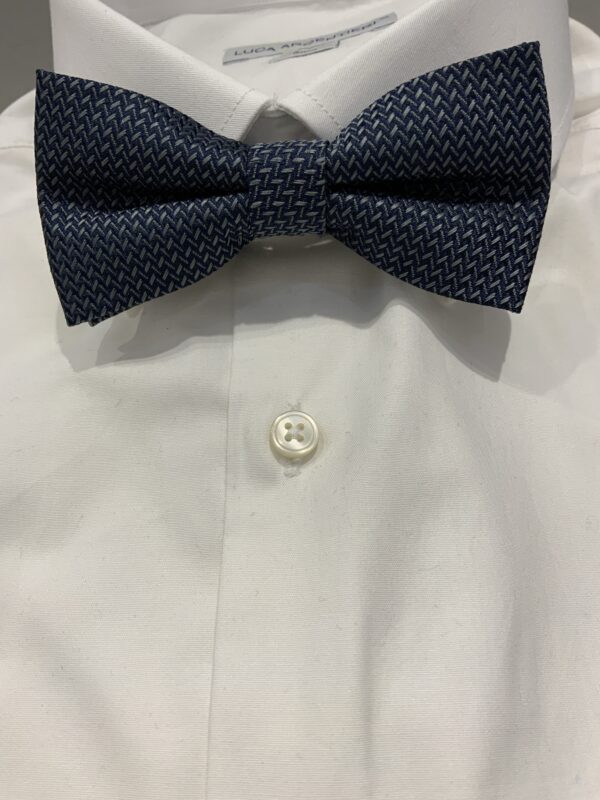 Papillon raso