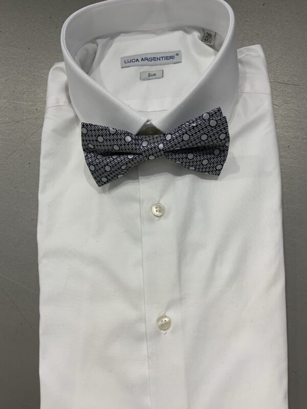 Papillon raso